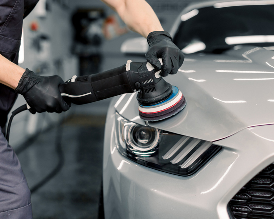 Learn more about our services and everything we do. 